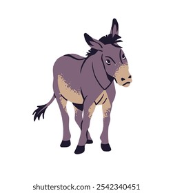 Lindo burro pastorea en el pasto. Mulas divertidas se paran en el corral. Animales de granja con pezuñas, paseos de culo gris. Ganadería de rancho, granja de mascotas, fauna agrícola. Ilustración vectorial aislada plana sobre fondo blanco