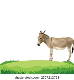 Cute donkey standing on green grass, cartoon illustration, isolated, vector ,on white background.