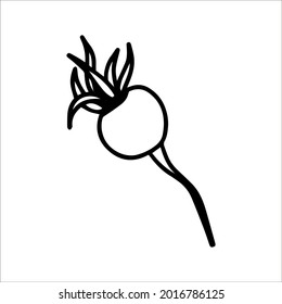 Cute doodle autumn rose hip and beet isolated on white background. Hand drawn vector illustration for greeting cards, posters and seasonal design. Vector raw food illustration with black line.