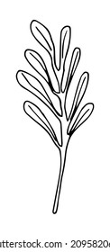 Cute doodle autumn vector linden leaf isolated on white on white background. Hand drawn vector illustration for coloring page and art books for adults and kids. Single tree leaf simple element.