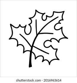 Cute doodle autumn vector maple leaf isolated on white on white background. Hand drawn vector illustration for coloring page and art books for adults and kids.