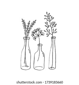 Cute doodle blade of grass in a bottle. Vector hand-drawn illustration. Black and white outline. Decoration for coloring book.