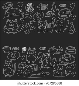 Cute doodle cats, kitty Domestic cats Vector sets with cute kittens for pet shop, cattery, veterinary clinic Doodle pattern for banner, poster, textile Children kids drawing for kindergarten