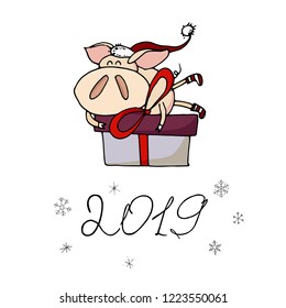Cute doodle christmas piggy with a gift box. Symbol of 2019 year. Winter holidays. Christmas and new year calligraphy. Hand written modern brush lettering. Hand drawn design elements. Festive card.