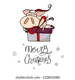 Cute doodle christmas piggy with a gift box. Symbol of 2019 year. Winter holidays. Christmas and new year calligraphy. Hand written modern brush lettering. Hand drawn design elements. Festive card.