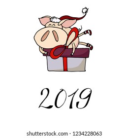 Cute doodle christmas piggy with a gift box. Symbol of 2019 year. Winter holidays. Christmas and new year calligraphy. Hand written modern brush lettering. Hand drawn design elements. Festive card.