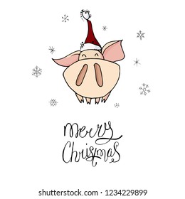 Cute doodle christmas piggy with a santa hat. Symbol of 2019 year. Winter holidays. Christmas and new year calligraphy. Hand written modern brush lettering. Hand drawn design elements. Festive card.