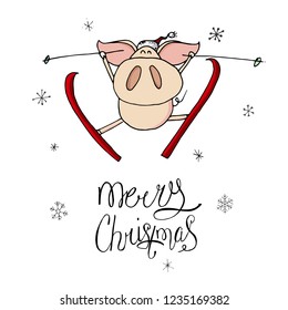 Cute doodle christmas skiing piggy in santa hat. Symbol of 2019 year. Winter holidays. Christmas and new year calligraphy. Hand written modern brush lettering. Hand drawn design elements. Festive card