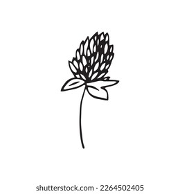 Cute doodle clover flower. Hand drawn vector illustration for greeting cards, posters and seasonal and wedding design 