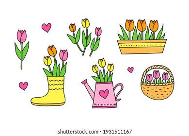 Cute doodle colored spring tulip flowers in pot, watering can, basket, ruber boot, bouquet isolated on white background. Seasonal spring floral illustration.