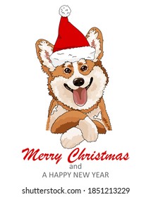 Cute doodle corgi for Merry christmas.  Funny animals with Santa hat. 