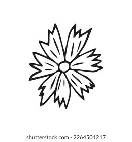 Cute doodle cornflower. Hand drawn vector illustration for greeting cards, posters and seasonal and wedding design 