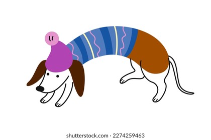 Cute Doodle Dog. Sticker with funny long dachshund in warm sweater and hat. Purebred charming puppy. Funny smiling pet or animal. Cartoon flat vector illustration isolated on white background