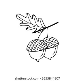 Ilustração Bonita De Acorn Doodle. Vetor de noz de floresta de outono desenhado à mão