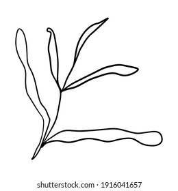 Cute doodle flower isolated on white background.  Cartoon tree branch, grass, plant icon. Bush isolated. 