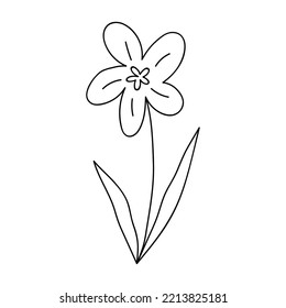 Cute doodle flower isolated on white background. Vector hand-drawn illustration. Perfect for cards, logo, decorations, various designs. Botanical clipart.