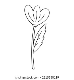 Cute doodle flower isolated on white background. Vector hand-drawn illustration. Perfect for cards, logo, decorations, various designs. Botanical clipart.