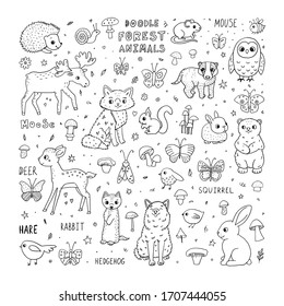 Cute doodle forest animals. Cartoon characters and lettering