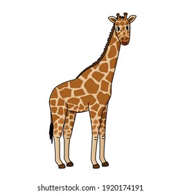 Cute doodle giraffe. Vector outline cartoon, single isolated, illustration on white background. Savannah animal smiling, side view. Can be used for children books or as print for clothes