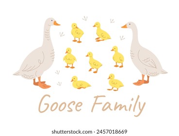 Cute doodle goose family members. Hand drawn linear male and female goose and adorable goslings in different poses, isolated on white. Stylized vector cartoon illustration. Domestic farm birds