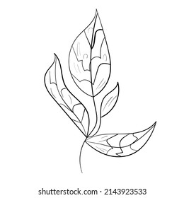 Cute doodle leaves set.Plant vector collection.Black line art on white backround.