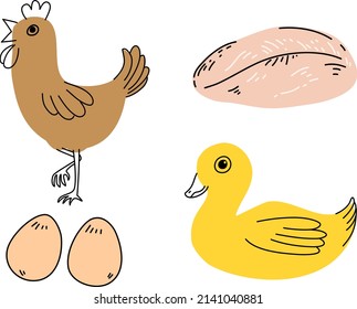 cute doodle line art cartoon of farm animal ; chicken, duck, eggs,  meat fillet
