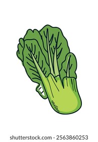 Cute doodle napa cabbage in vector format