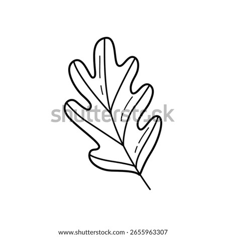 Cute Doodle Oak Leaf Hand Drawn Autumn Foliage Vector Illustration