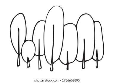 Cute Doodle on the topic of tourism. birch grove drawn vector illustration.