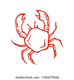 Cute Doodle red Crab Aquatic Animal Design