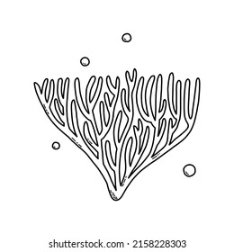 Cute doodle sea algae. Coloring page for kids. Vector illustration.
