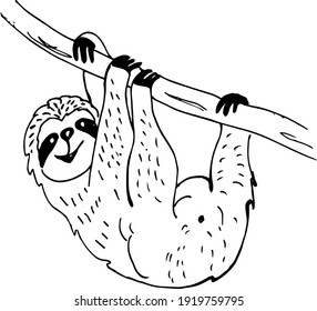 cute doodle sloth bear. vector illustration in sketch style