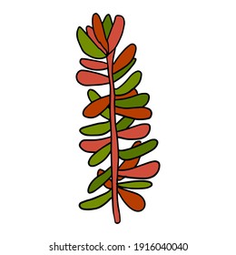Cute doodle Succulent flower isolated on white background.  Cartoon plant icon. Bush isolated. 