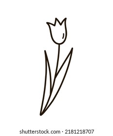 Cute doodle tulip with leaves isolated on white background. Vector hand-drawn illustration. Perfect for cards, logo, decorations, spring and summer designs. Botanical clipart.