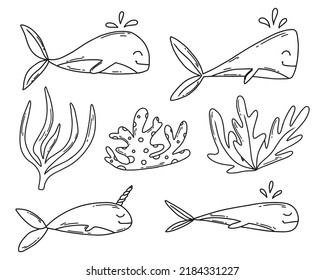 Cute doodle whale set. Whales and algae. Vector illustration.