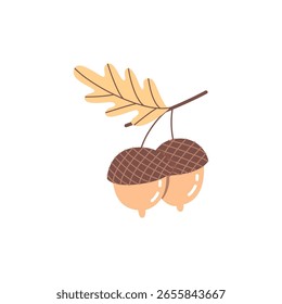 Cute Double Acorn with Oak Leaf Hand Drawn Autumn Forest Vector Illustration on White Background