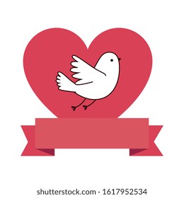 cute dove with heart and ribbon vector illustration design