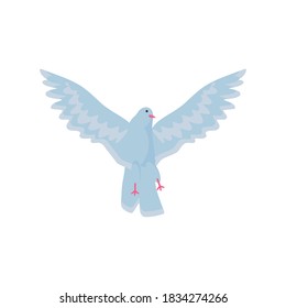 cute dove open wings detailed vector illustration detailed