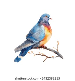 cute dove vector illustration in watercolour style