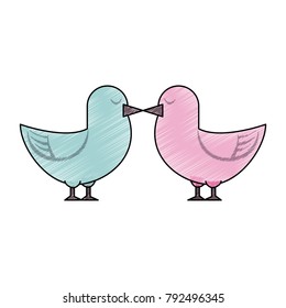 Cute doves in love
