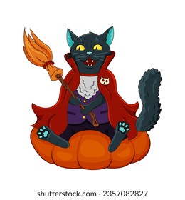 Cute Dracula cat with a witch broom sitting on a Halloween pumpkin.