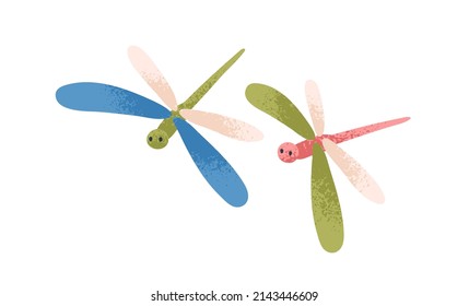 Cute dragonflies couple flying. Sweet spring insects in air. Fairytale baby characters with wings in flight. Childish kids flat vector illustration isolated on white background