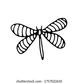 Cute dragonfly hand drawn illustration in doodle style for poster, banner, print, menu,t-shirt, fabric bag,decoration kids playroom or greeting card.Insect collection.