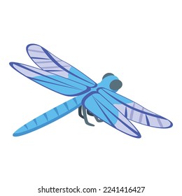 Cute dragonfly icon isometric vector. Insect wing. Macro bug