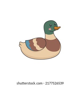 Cute Drake Duck, Vector N Cartoon Style