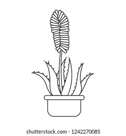 Cute drawing plant