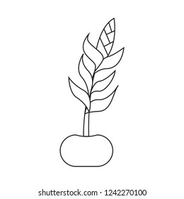 Cute drawing plant