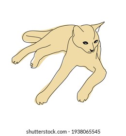 Dibujo lindo de un gato sentado. Dibujo lineal de un animal