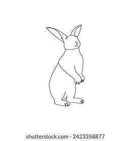 Cute drawn bunny on white background
