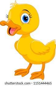 Cute duck cartoon 